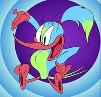 Hunny hummingbird