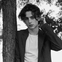 Timothée Chalamet 