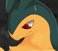 Typhlosion