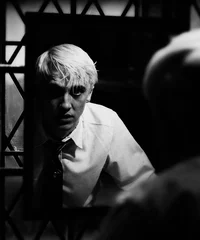 draco malfoy 