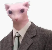 suit sphynx cat