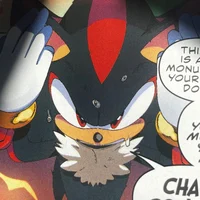 Shadow the hedgehog 