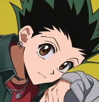 Adult Gon Freecss