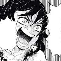 Inosuke Hashibira BR