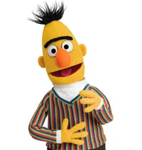 Bert
