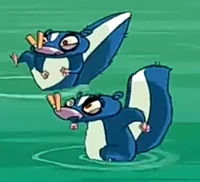 Swamp skunks