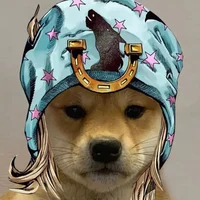 Doge Joestar