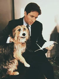 Fox Mulder