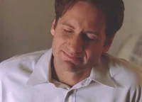 Fox Mulder