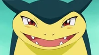 Mujin The Typhlosion
