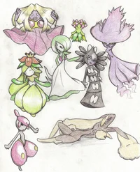 Female Pokémon Harem