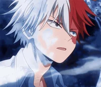 Shoto Todoroki
