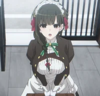 Ms - Servant