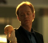 Horatio Caine 