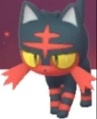 Litten