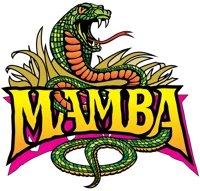 Mamba