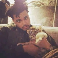 The Weeknd