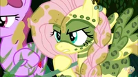 Fluttershy