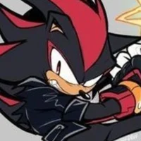 Shadow the hedgehog