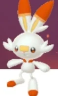 Scorbunny