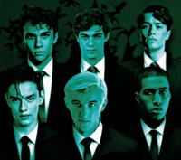 The Slytherin Boys