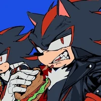 Shadow - High school