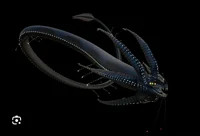 Gargantuan Leviathan