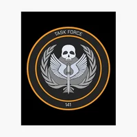 Task Force 141