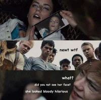 Newt
