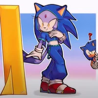 Sonic and Blaze