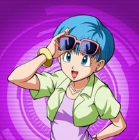 Bulma Briefs 