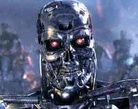 The Terminator World