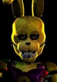 Afton Springbonie 