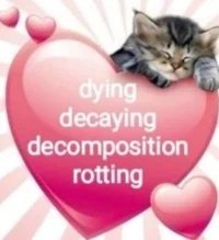 ___
