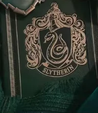 Slytherin boys
