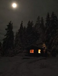 Cabin In The Woods