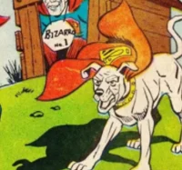 krypto