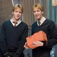 Gemelos weasley 