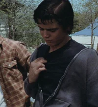 Ponyboy Curtis 