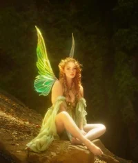 Forest Fairy