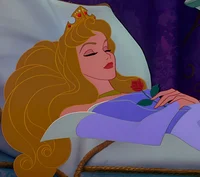 Jasmine