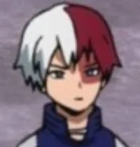 Shoto Todoroki