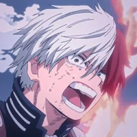 Shoto Todoroki