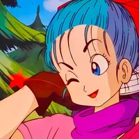Bulma Briefs