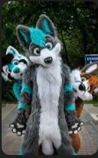 Gay Furry