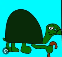 Gordy Tortoise
