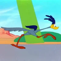 Road Runner