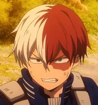 Shoto Todoroki