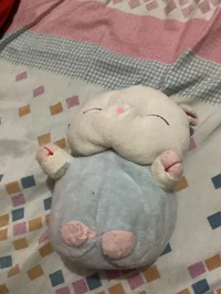 Pommel the wh piglet