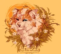Warrior Cats